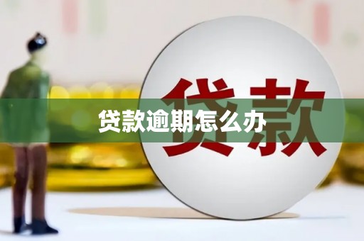 前锋贷款逾期怎么办