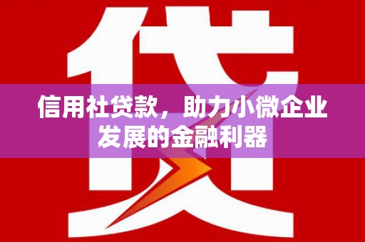 前锋信用社贷款，助力小微企业发展的金融利器