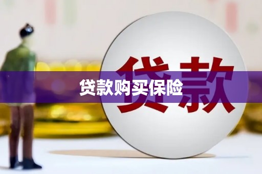 前锋贷款购买保险