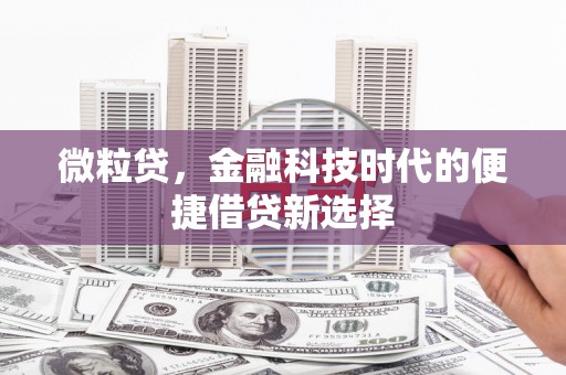 前锋微粒贷，金融科技时代的便捷借贷新选择