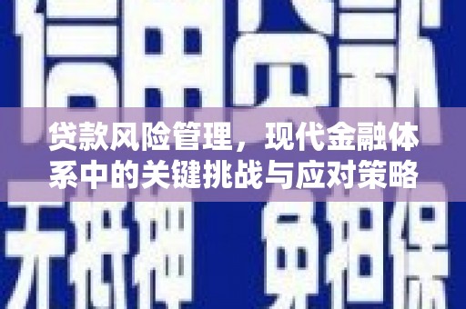 前锋贷款风险管理，现代金融体系中的关键挑战与应对策略