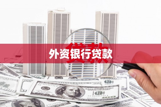 前锋外资银行贷款