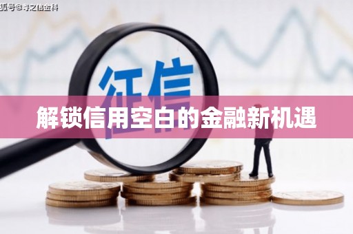 前锋解锁信用空白的金融新机遇
