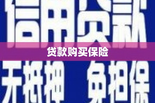 前锋贷款购买保险