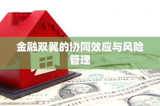 前锋金融双翼的协同效应与风险管理