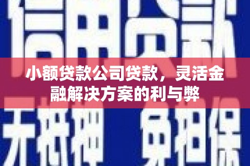 前锋小额贷款公司贷款，灵活金融解决方案的利与弊